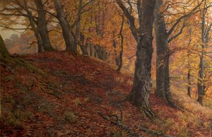 Bij het vallen van het blad, Arundel Park, Sussex